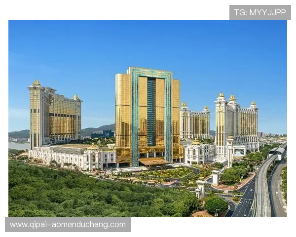 澳门银河娱乐场官网会员制度介绍及积分兑换福利,提升您的游戏体验 澳门银河娱乐场官网会员制度介绍及积分兑换福利,提升您的游戏体验