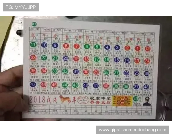 如何利用六合彩数字站进行科学选号,提升中奖概率的实用经验分享 如何利用六合彩数字站进行科学选号,提升中奖概率的实用经验分享