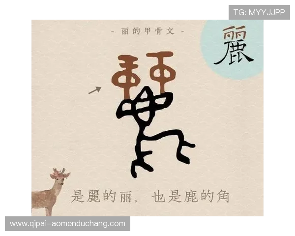 为什么有人会用“角子”来比喻事物,背后隐藏的文化含义 为什么有人会用“角子”来比喻事物,背后隐藏的文化含义