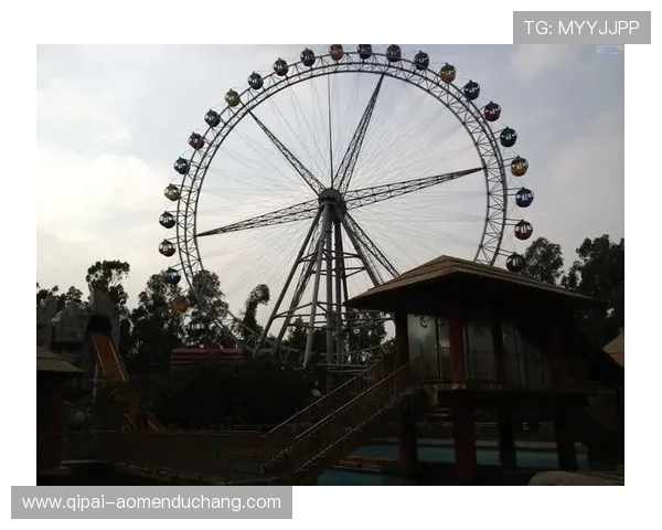 十六铺娱乐场人员限制政策对正常运营的影响与应对策略