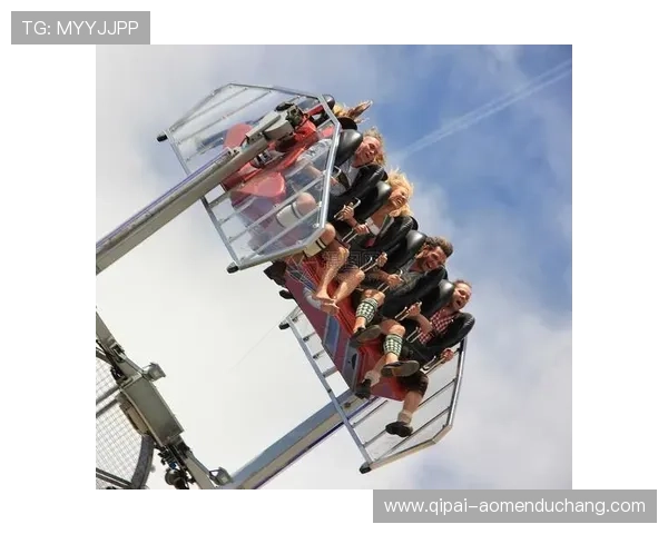 回力娱乐场使用的赌牌背后隐藏的权益与合作伙伴关系揭秘