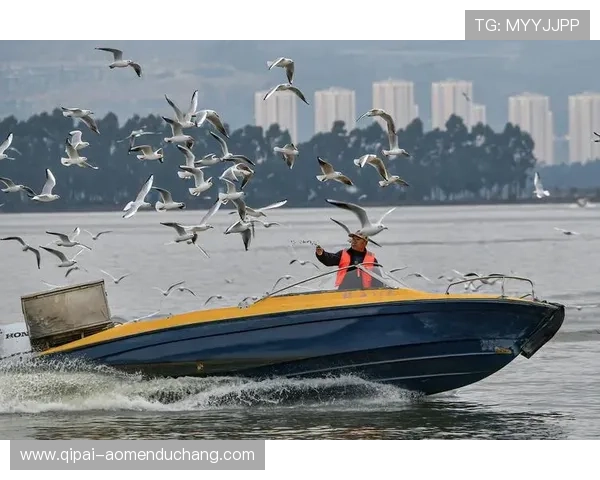 星空体育百家乐：畅享夜空之下的精彩体育博彩体验