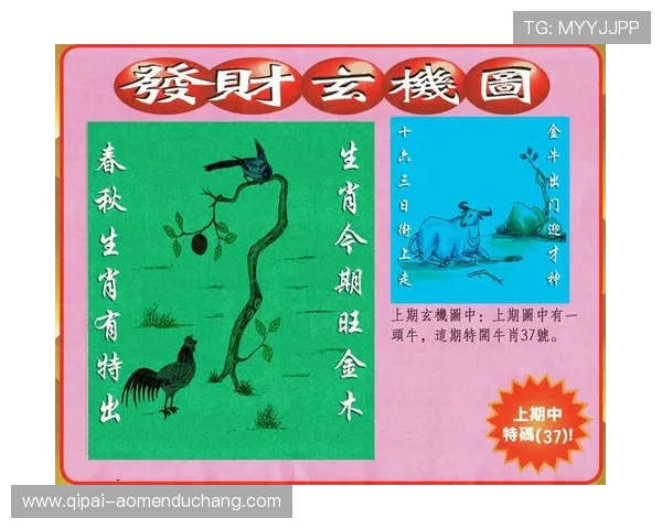 澳门彩注册登录入口详细流程指南帮助新手快速注册与登录操作