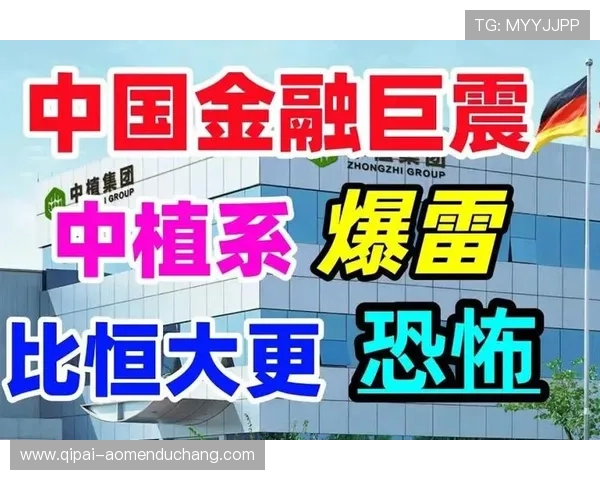 澳门财神集团助力投资者开启稳定收益的黄金时代 澳门财神集团助力投资者开启稳定收益的黄金时代